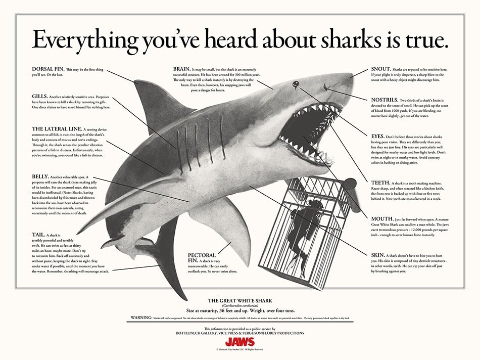 Shark-Infographic-FINAL-REG_fixedtype_51