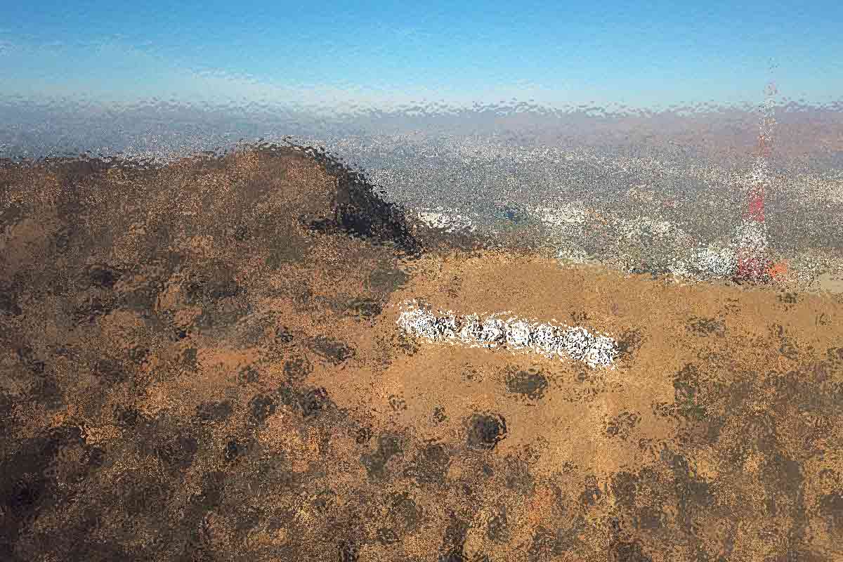 Unveiling the Rich Tapestry of International Film Narratives Unveiling the Rich Tapestry of International Film Narratives